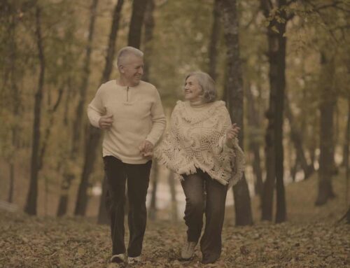 Herbstspaziergänge & Natur erleben